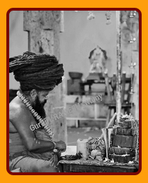 Nadi Astrology